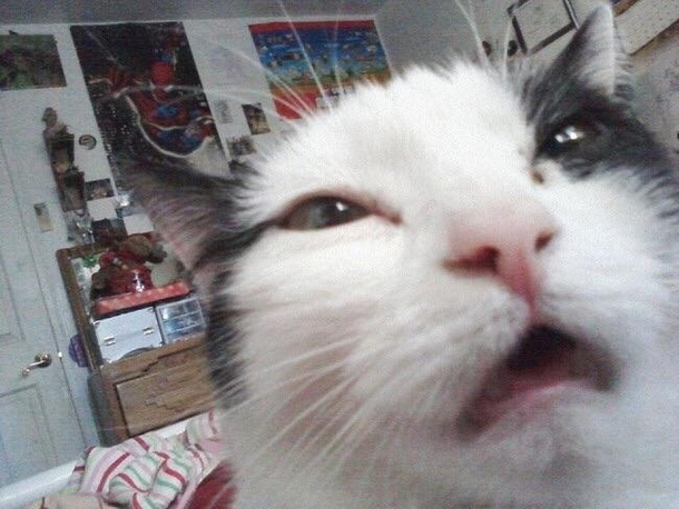 When you accidentally take a selfie