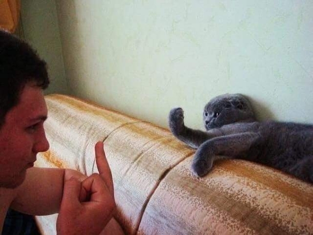 When you and your cat love each other so much