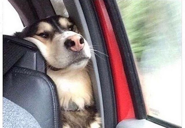 When you are in the backseat desperately trying to be a part of the front seat conversation