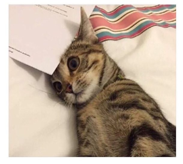 When you check your bank account after a night out