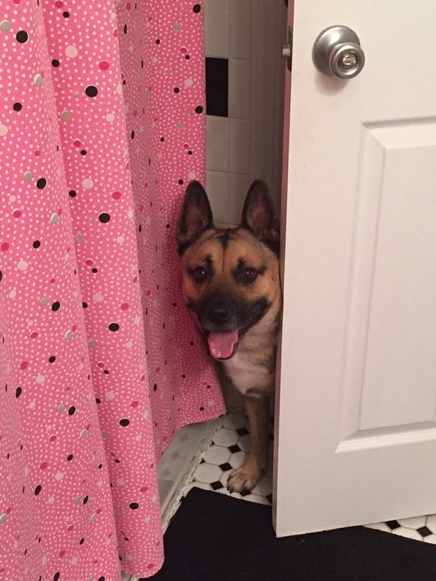 When you dont close the bathroom door all the way