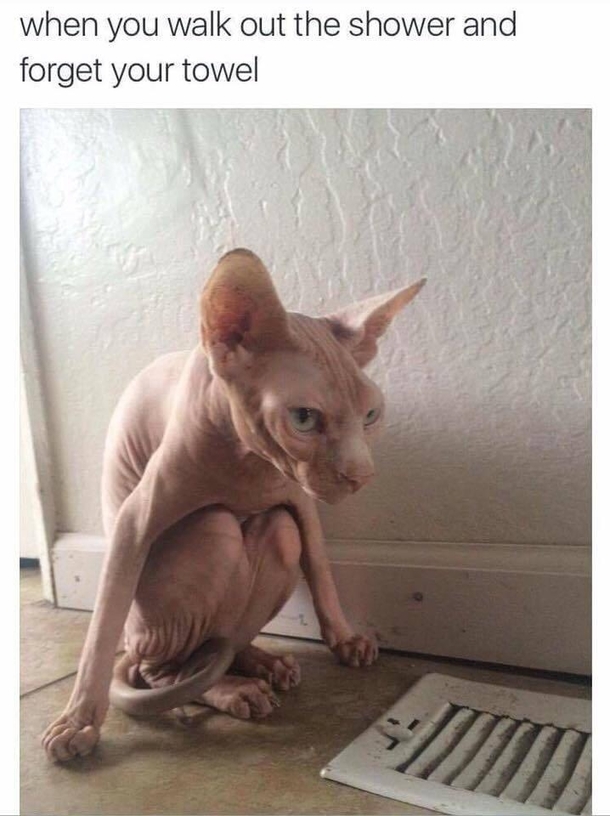 When you get cold