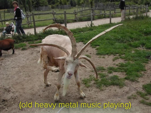 When you go to see your favorite band from High School