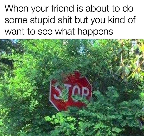 When you know its wrong but you want to see what happens