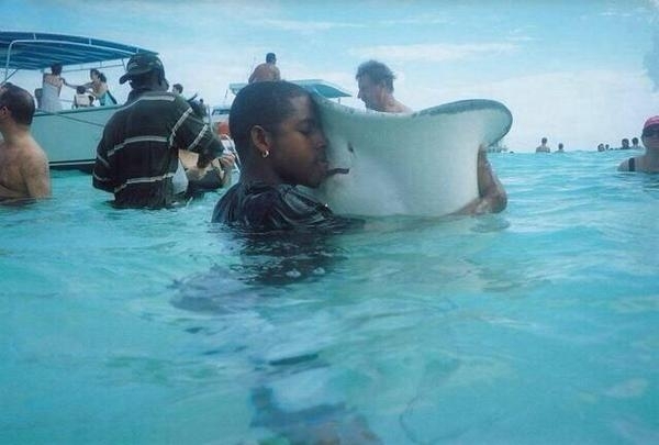 When you lose your stingray but then you find it again