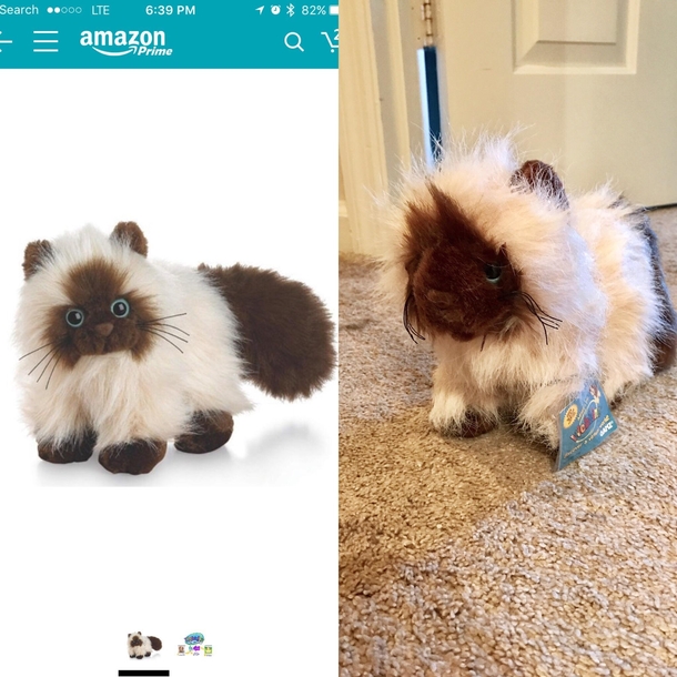 When you order a stuffed animal but they send you its drunk sister instead - Meme Guy