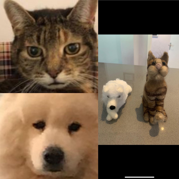 When you order mini felt models of your pets off Etsy 