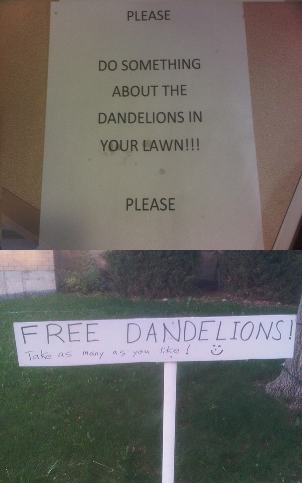 When you receive a complaint from your neighbors its important that you do your best to resolve it