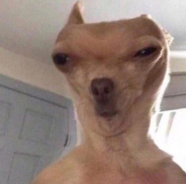 When you sneaking around at  am and stub your toe