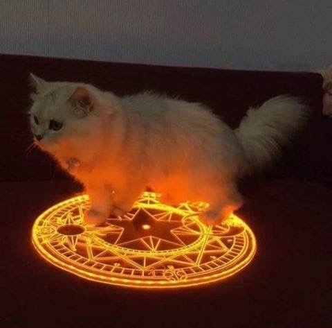 When you try to summon the devil but you end up summoning something of more evil