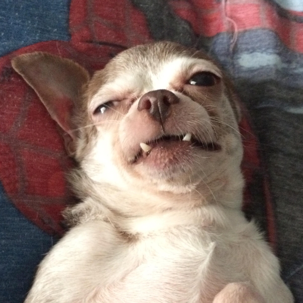when you wake up  min before the alarm