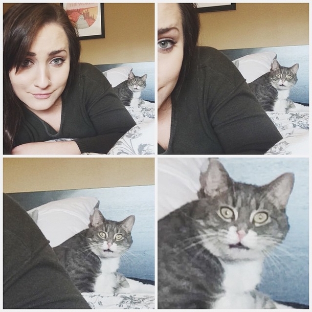 When your cat doesnt realize she is in the shot