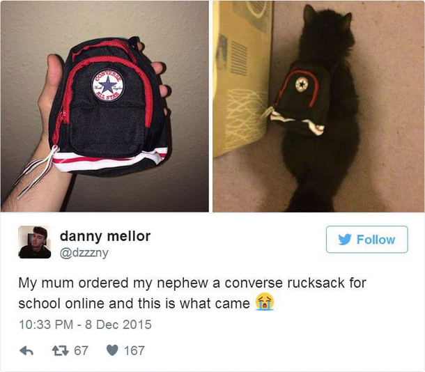 When your Converse backpack was suspiciously cheap