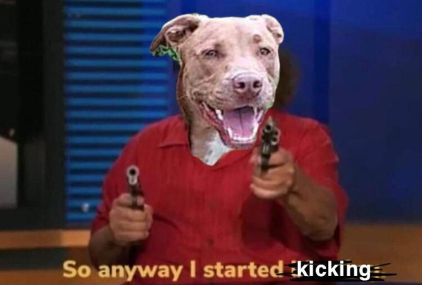 When your dog wants more space on the bed