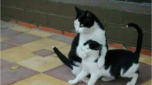 when your friend tries to shout your name infront of your crush