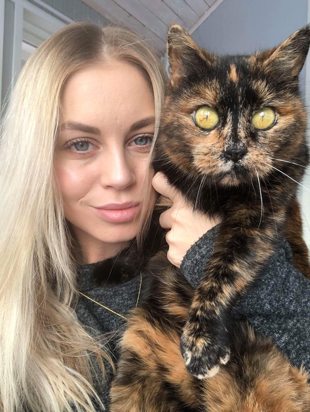 When your owner wants a selfie but you just had some C-nip