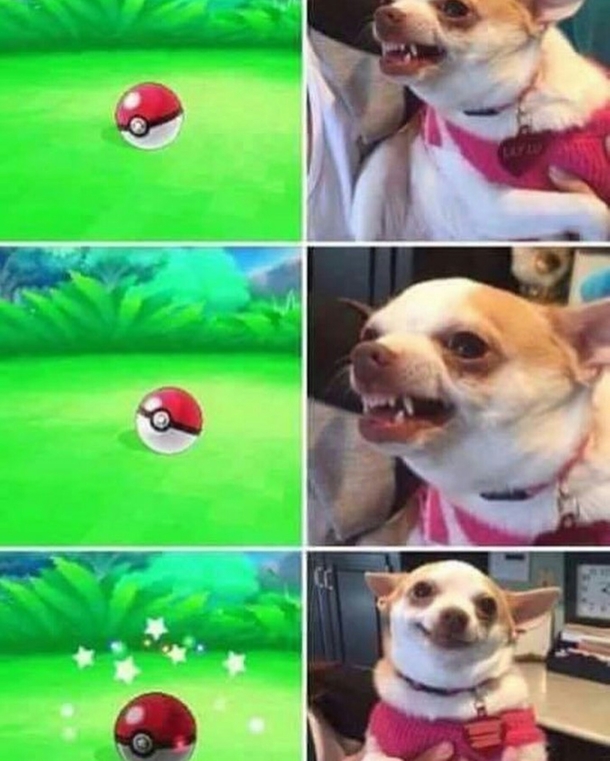 When your trying to capture a pokemon and your just sitting there like