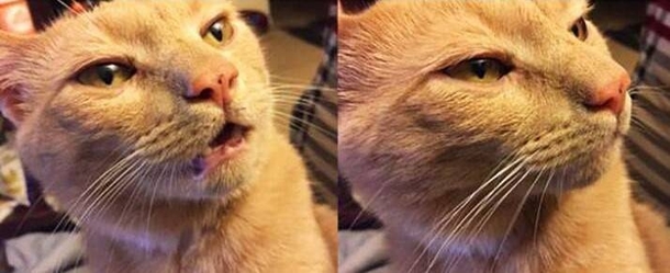 When youre about to say something but then decided it isnt worth the effort