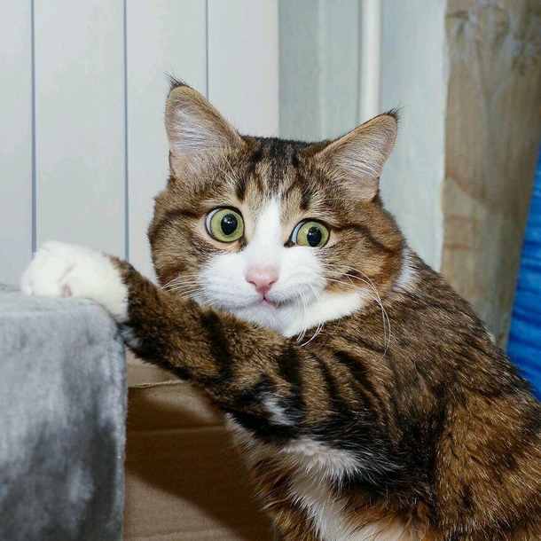 When youre at a friends house and they start arguing and youre just sitting there like