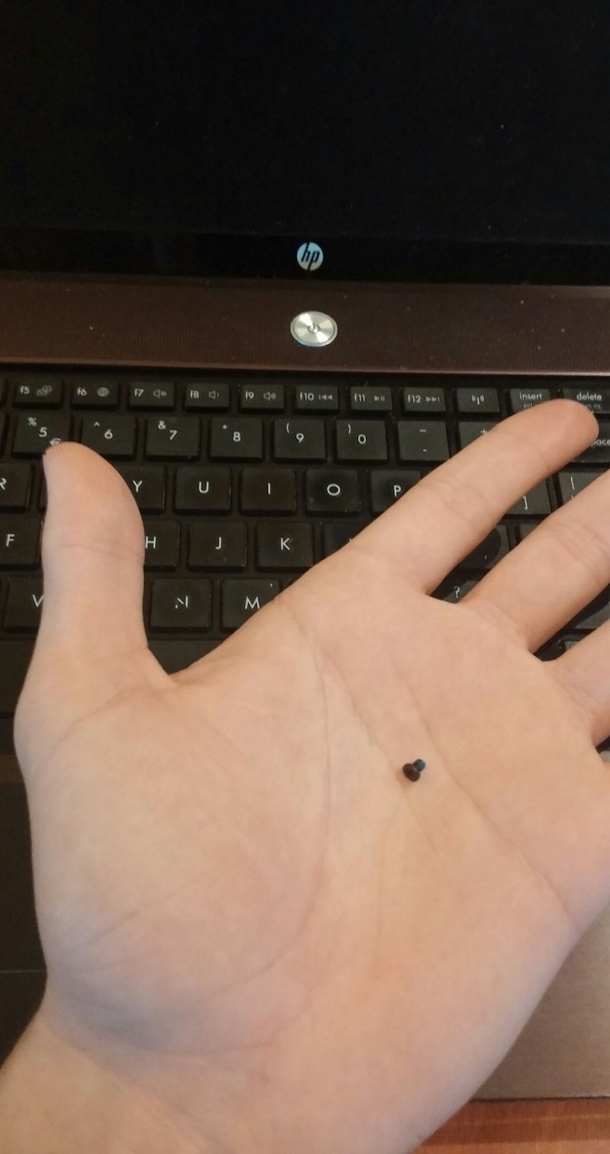 When youre done putting your laptop back together and
