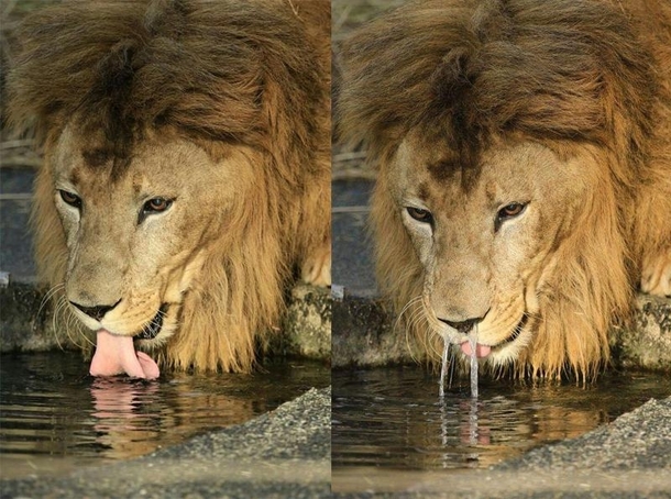 When youre drinking and somebodys trying to make you laugh