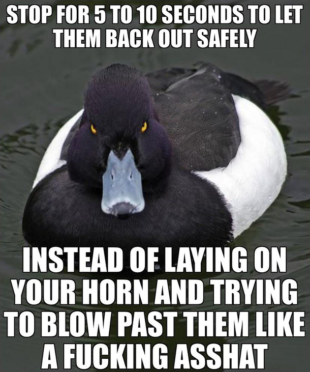 When youre driving through a parking lot and see someone trying to back out of a space with an obstructed view