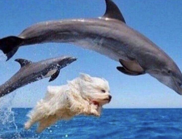 When youre drunk af and start making friends with everyone