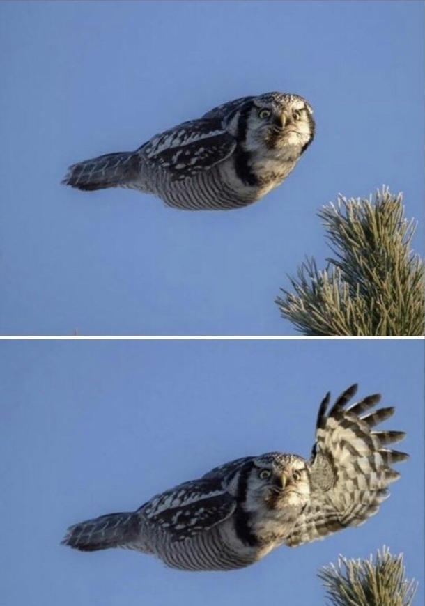 When youre from a small town and you drive by anyone