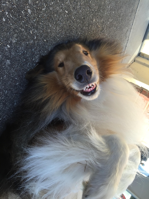 When youre having a good day