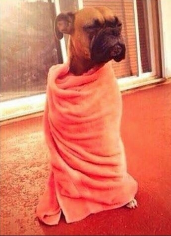 When youre sleeping on the couch and someone wakes you up and tells you to go to your bed