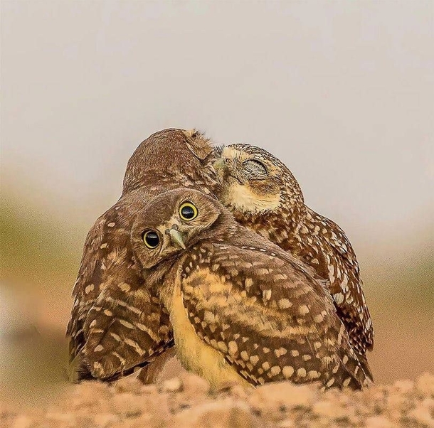 When youre the third wheel