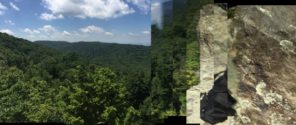 When youre trying to take a panorama of the landscape and look down to see a spider on your arm