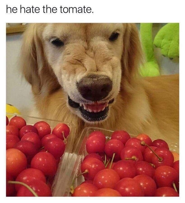 Whenever I feel sad I look at this