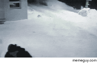 Whenever Im having a bad day I look at this GIF and it cheers me up