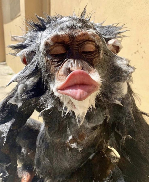 Whenever my gf and I share the shower
