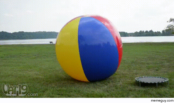 Where and when can I get this ball