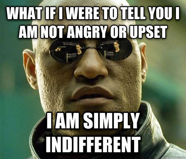 Where are all my introverts at