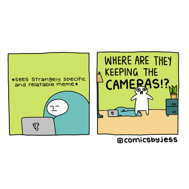 Where are they keeping the cameras 