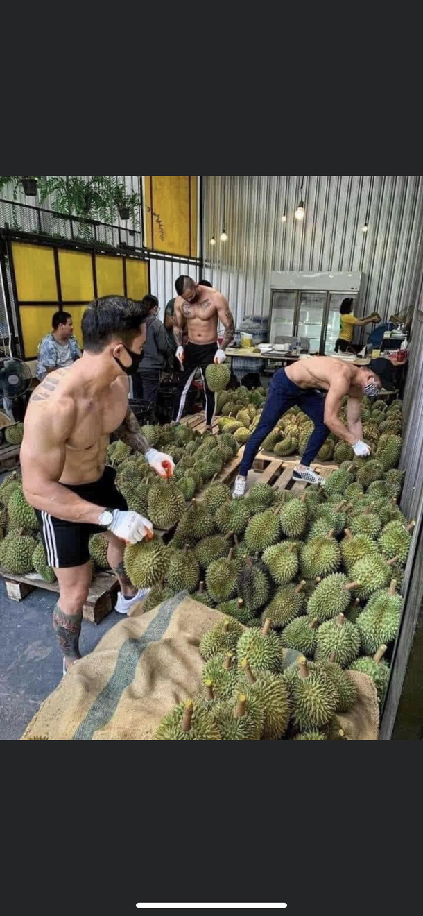 Where can I find these good looking durian asking for a friend