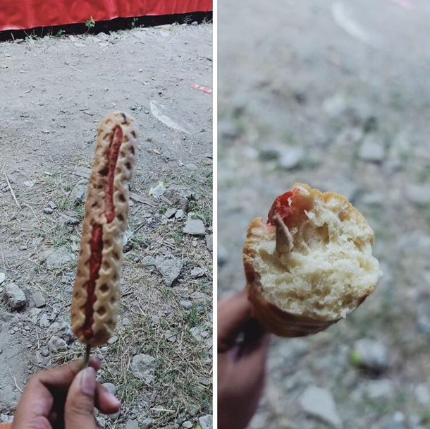 Where did the hotdog go