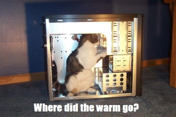 Where did the warm go