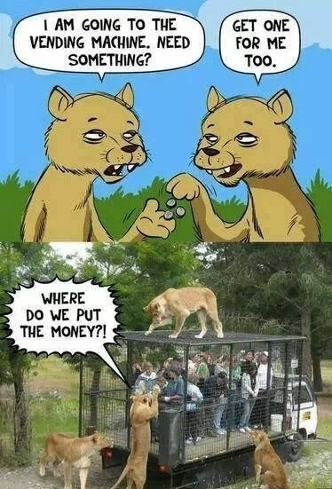 Where do we put the money