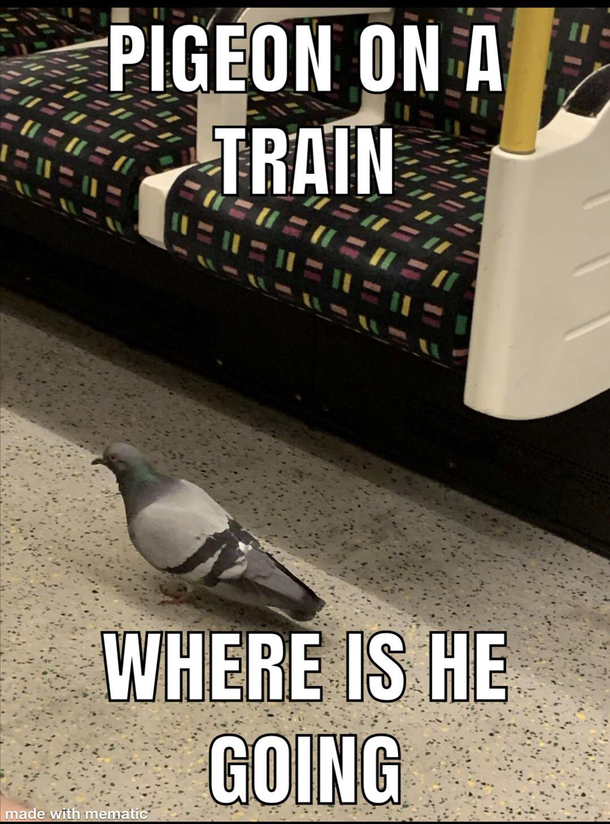 Where is he of to who knows