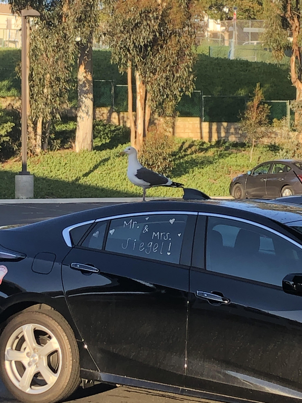 Where is his wife