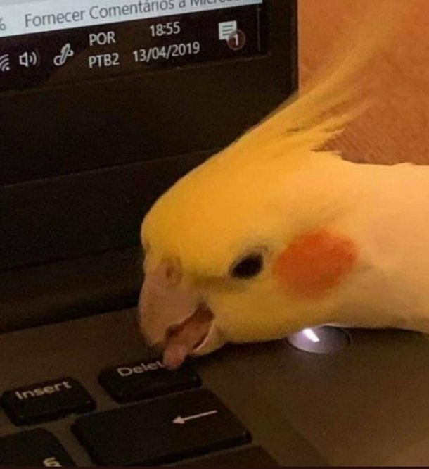-Where is you home work -You wont believe