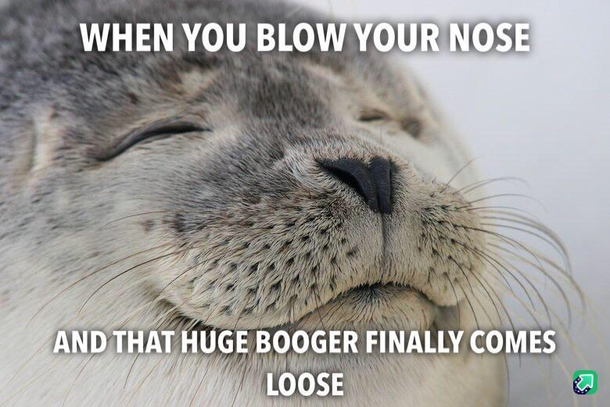 Where my sick redditors at