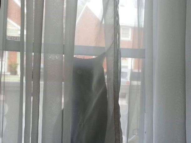 Where on earth could Ben be Hes so good at hiding