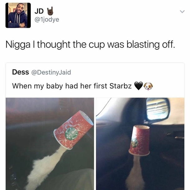 WHERE THE FUCK IS THAT CUP GOiOh thats not as confusing