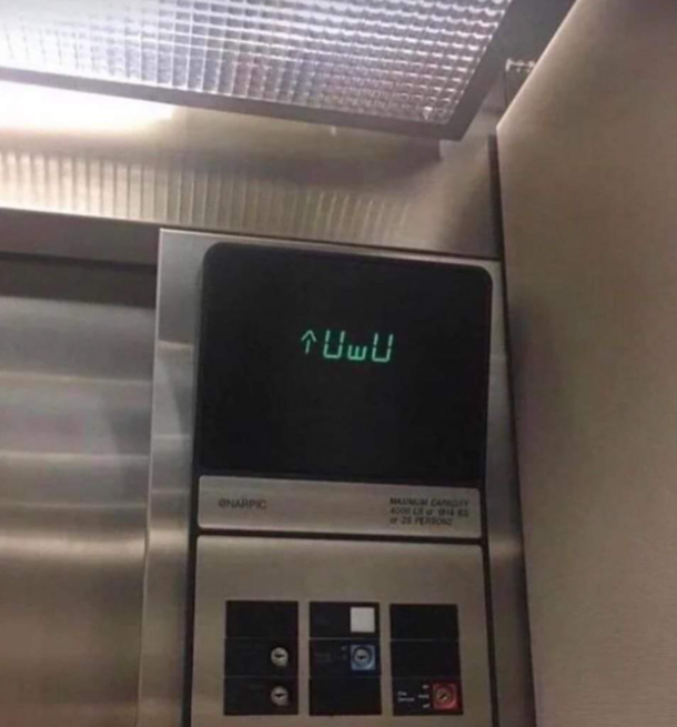 Where the fuck is this thing taking me