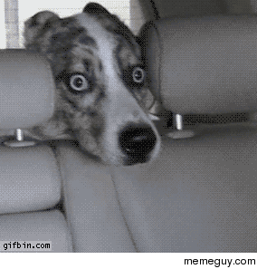 Where will you be when the acid kicks in